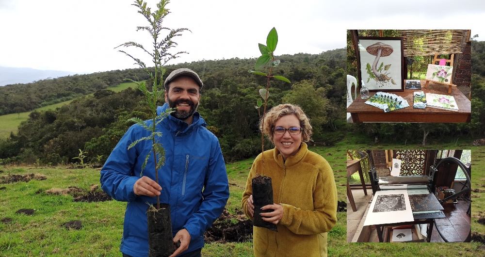 Arte y conservación: una alternativa para recuperar los bosques en Chía, Cundinamarca