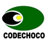 Convocatoria Pública Elección Del Director General De Codechoco, Periodo Institucional 2016 - 2019