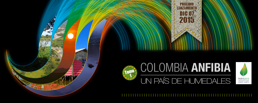 BannerColombiaAnfibia031215
