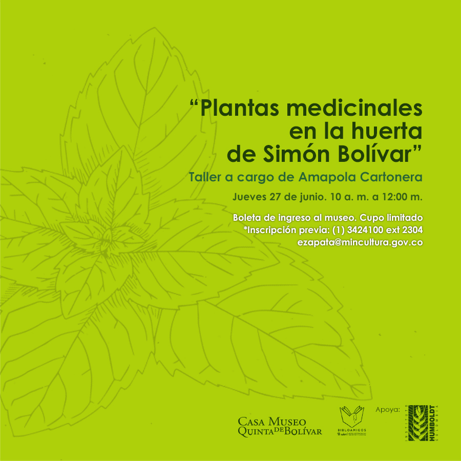 Plantas medicinales en las huertas de Simón Bolívar