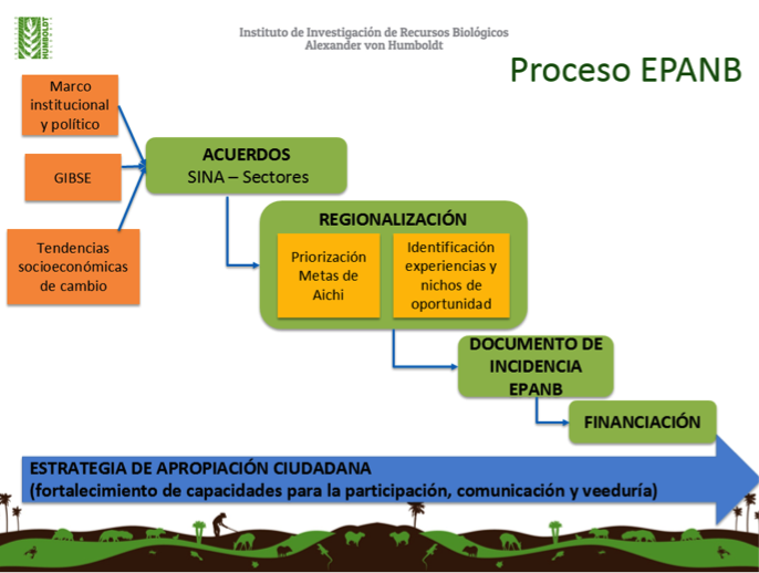 marco metodologico epanb3