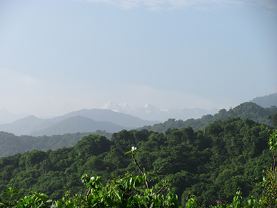 Nuevo libro: “El Bosque Seco Tropical en Colombia”